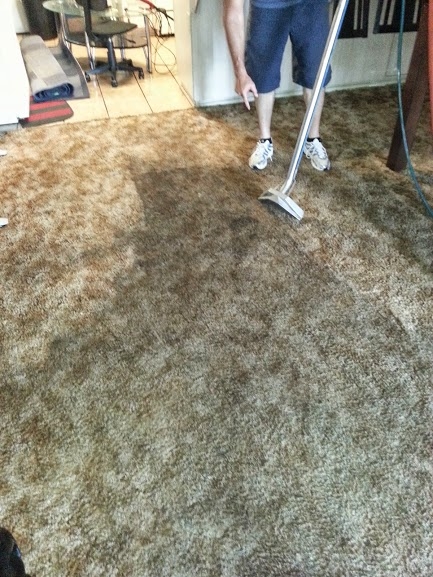 jm-carpet-cleaning-spot-stain-removal